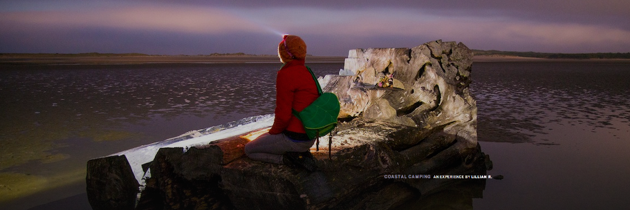 Worldly Curators banner