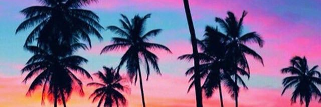 sandralineroc's profile banner image