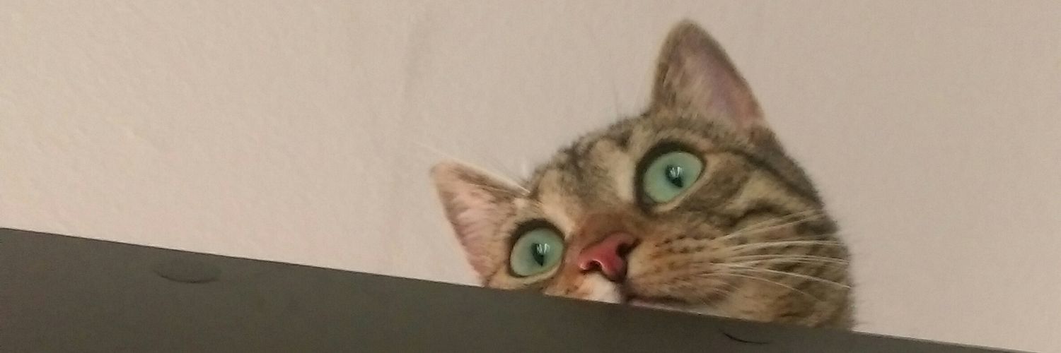 frizi_'s profile banner image