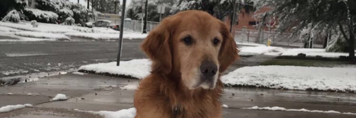 amramirezb's profile banner image