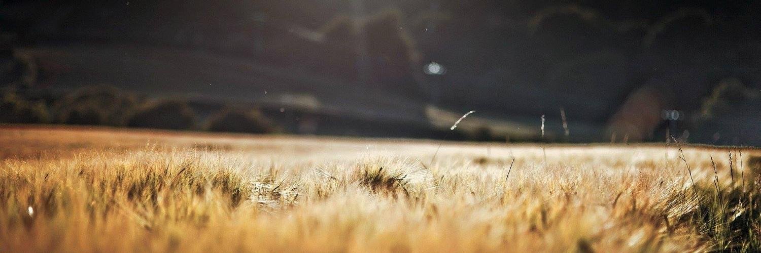 bilgehanuslu's profile banner image