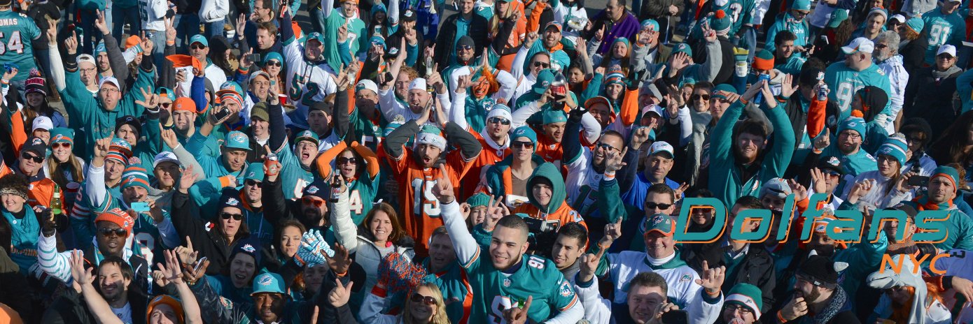 Dolfans NYC's banner
