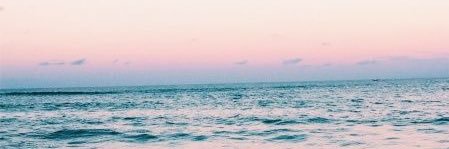 haileylamonica's profile banner image