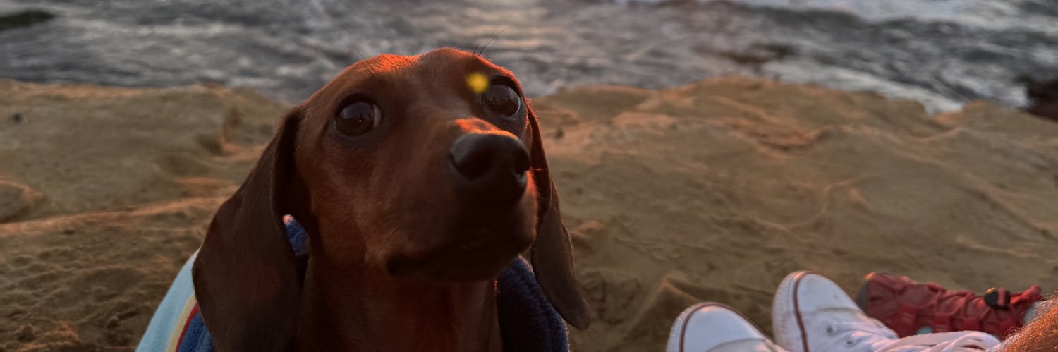 davxxeli's profile banner image