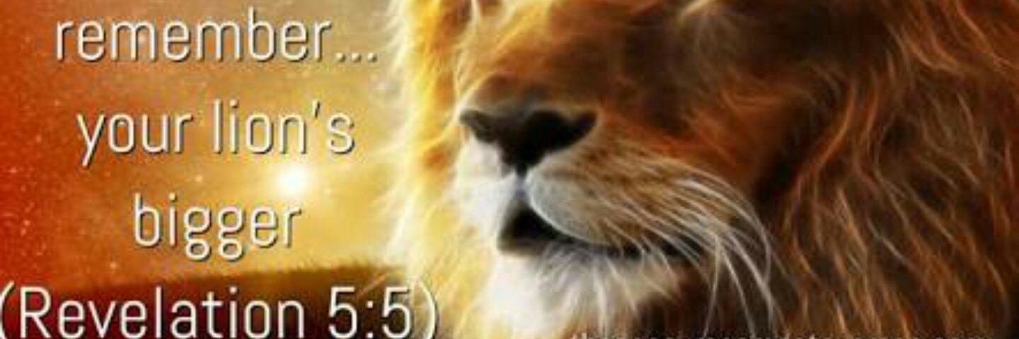 pcnio's profile banner image