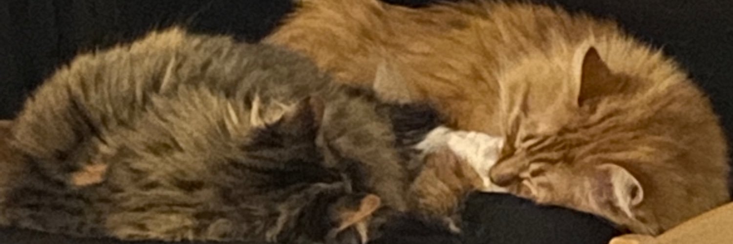 mobeckwith4's profile banner image