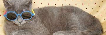 raymedy_'s profile banner image