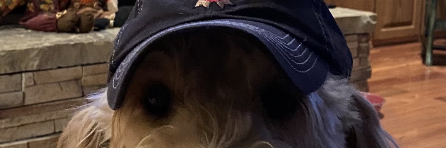 MarkMayo67's profile banner image
