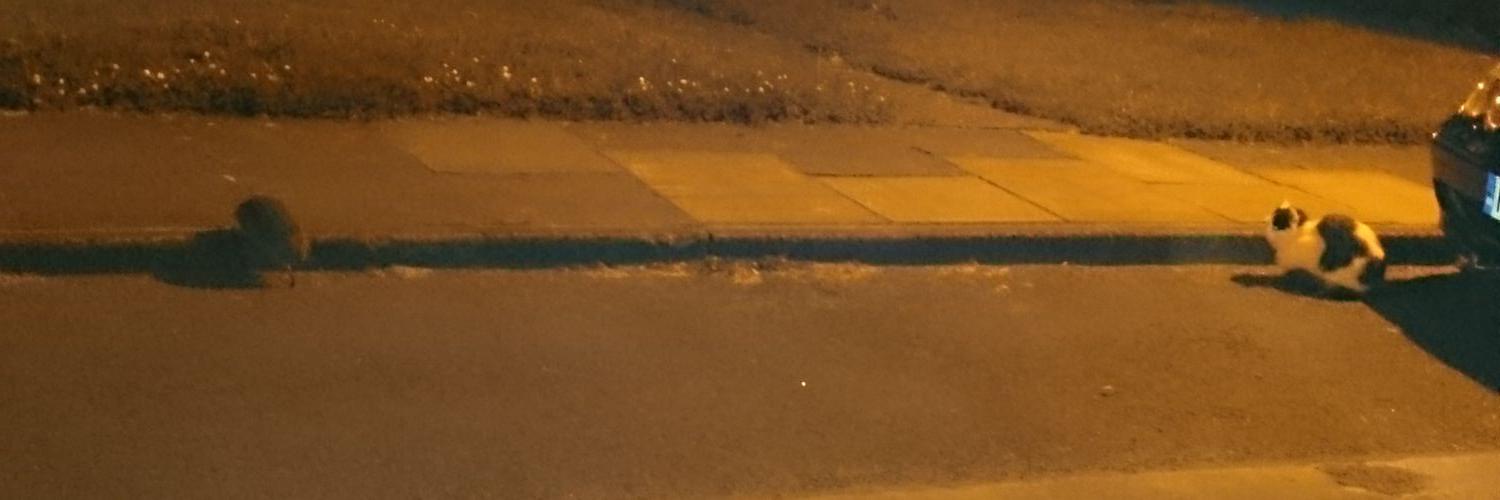 Benn Atkinson banner