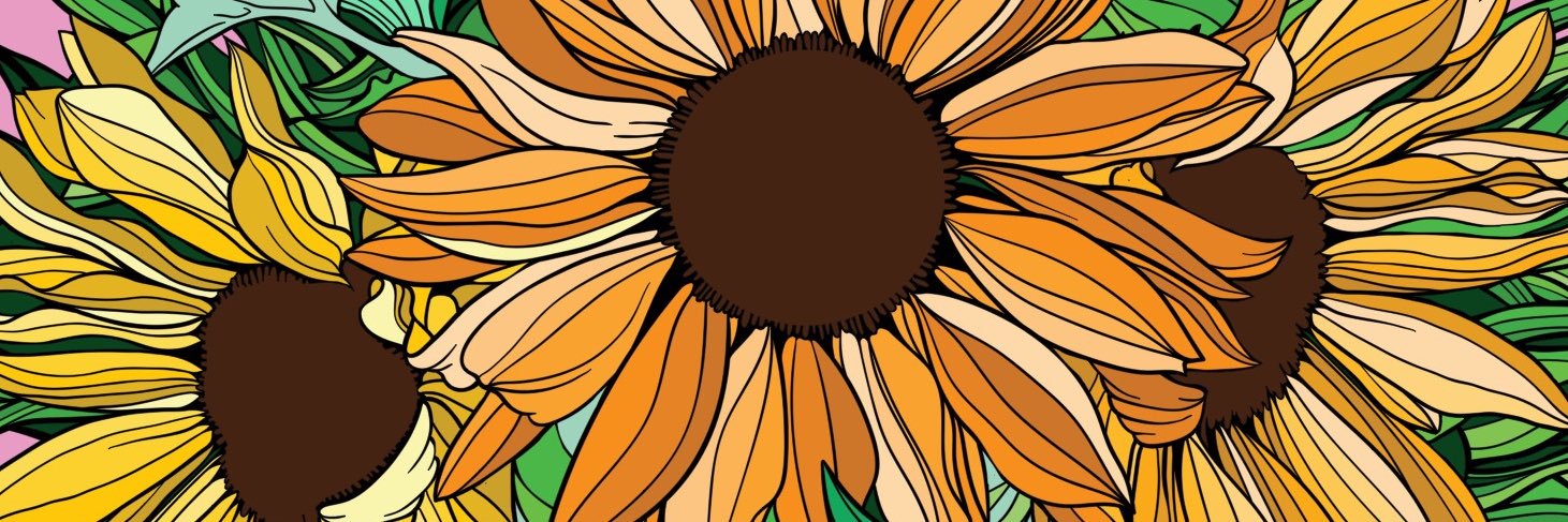 pualroberts's profile banner image