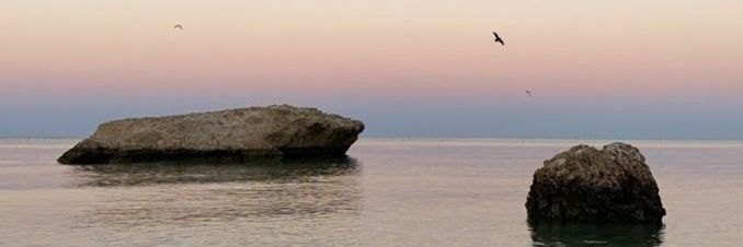 alshomooo3's profile banner image
