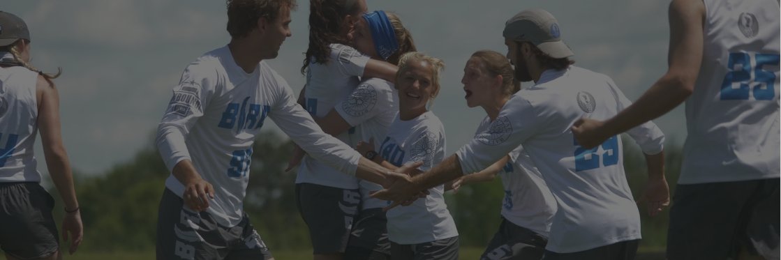 Bird Ultimate banner