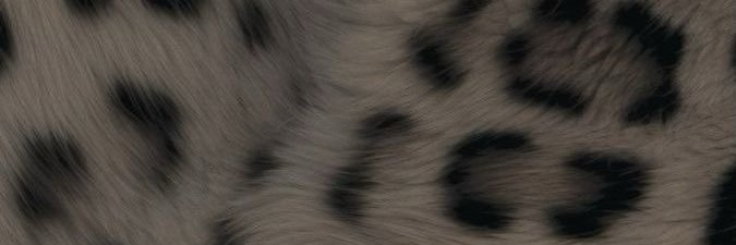 202020264_'s profile banner image