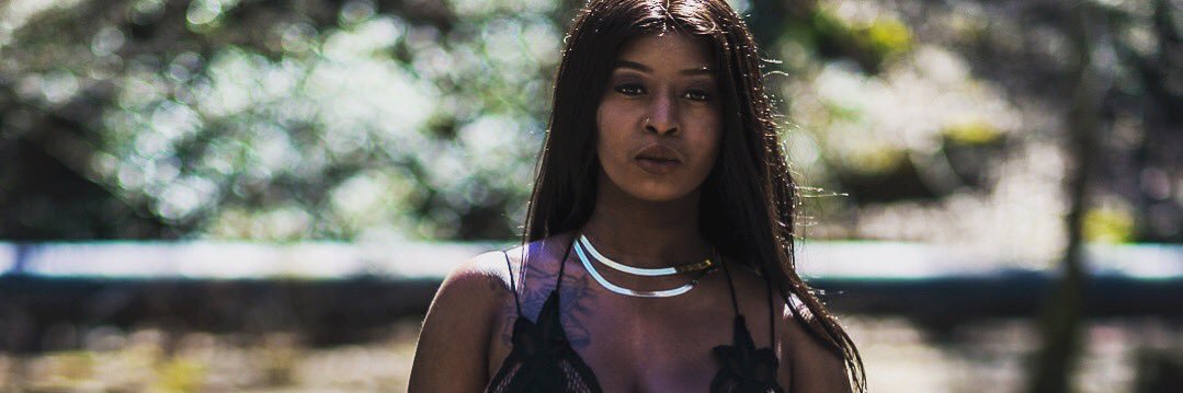 stephanie lashea banner