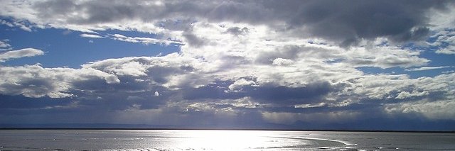 anyawen91's profile banner image
