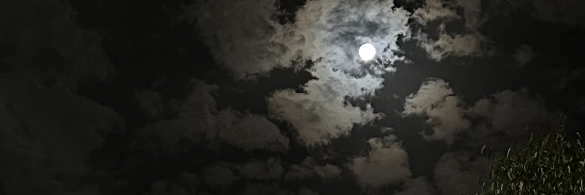 nassera1998's profile banner image