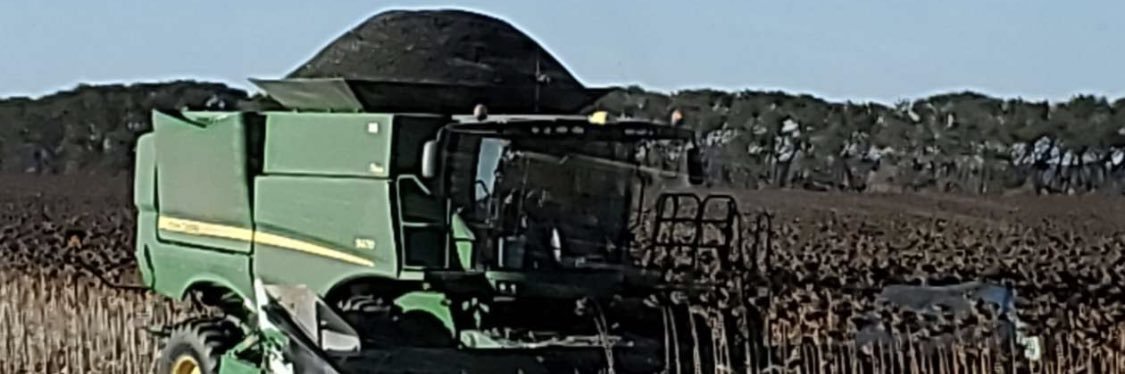 AlecLongtin's profile banner image