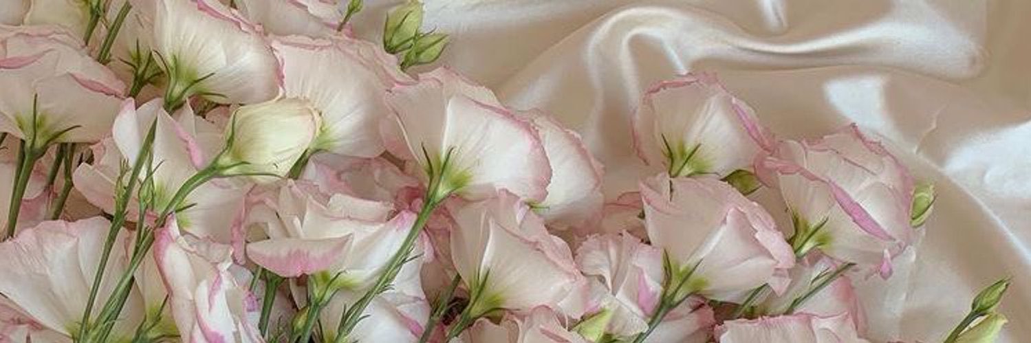 manuKdz's profile banner image