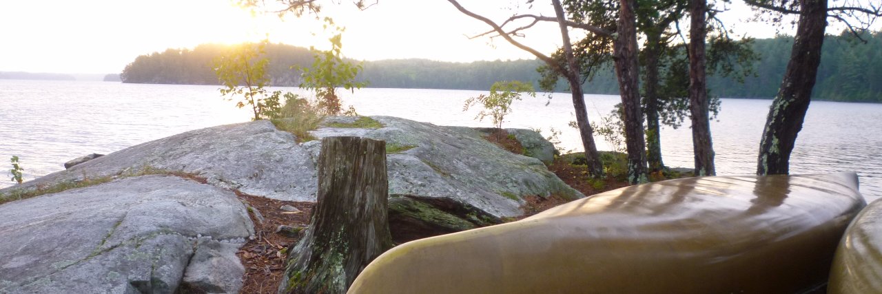 NLawrence_TBay's profile banner image