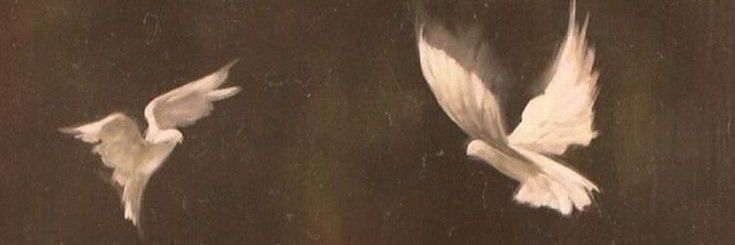 B ❯❯❯❯ ⁴⁴ banner