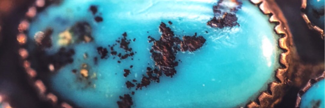 310_seashell's profile banner image