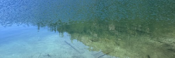 Cat_Daddy666 Profile Banner