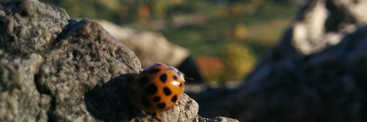 JonSoTan's profile banner image
