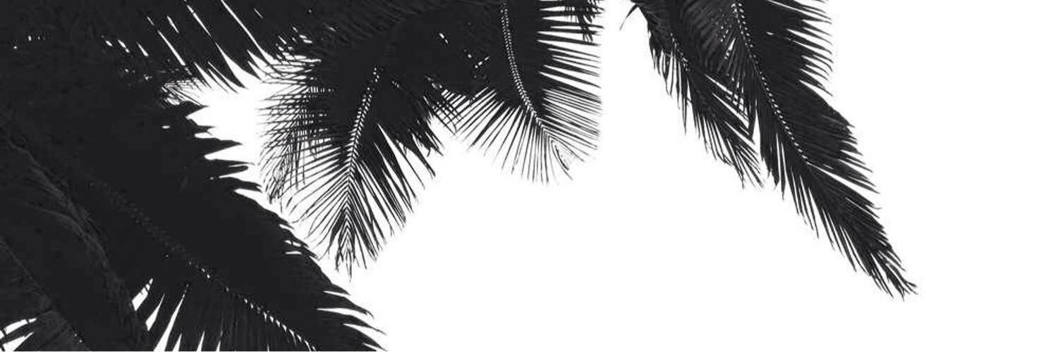 tionenicole's profile banner image