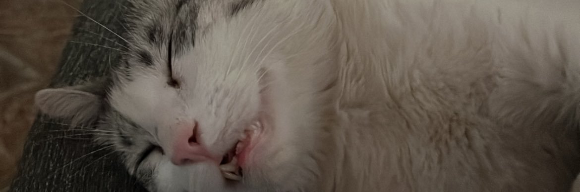 Nanohmr's profile banner image