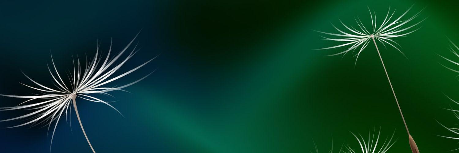 abbasimn3's profile banner image