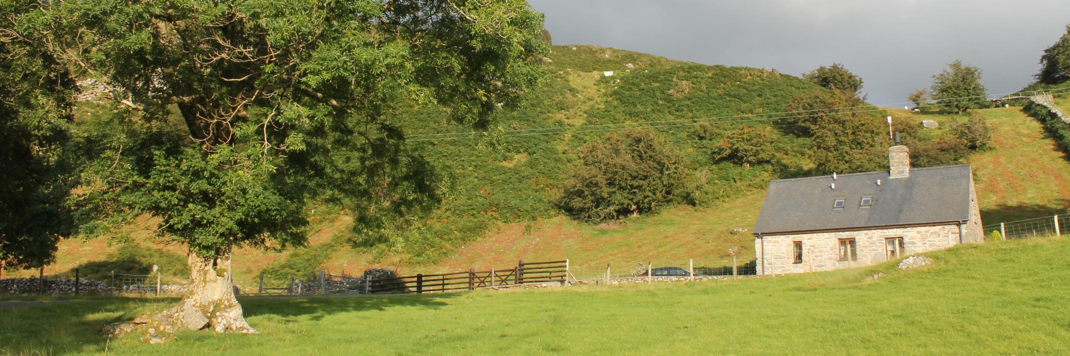 Cenric Clement-Evans banner