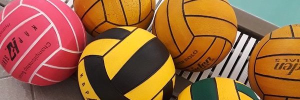 RHS_SwimTeam Profile Banner