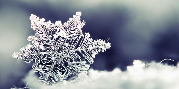 HaileeIsDaQueen's profile banner image