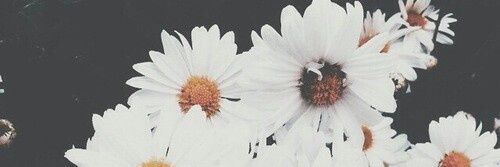 beverly1122's profile banner image