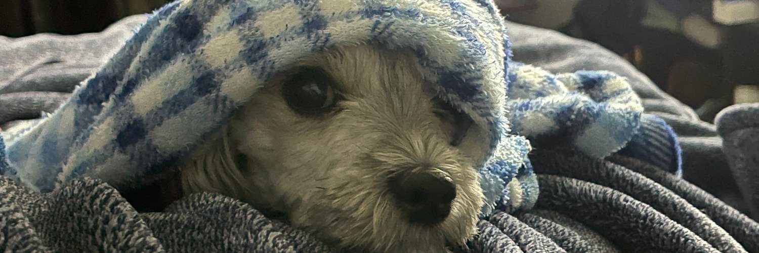 buddya325's profile banner image