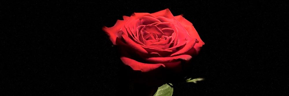 Queenaddiction_'s profile banner image