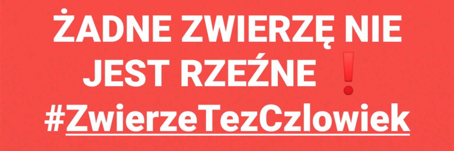 Pyskata od urodzenia #InGirlsWeTrust banner