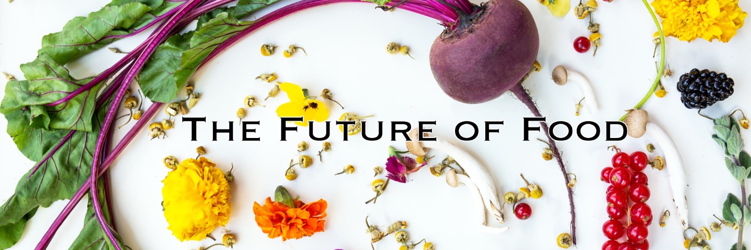 WildBeets's profile banner image