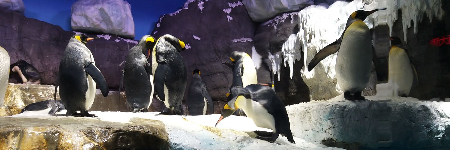 🍀Mi tesoro 光あれ🕉 banner