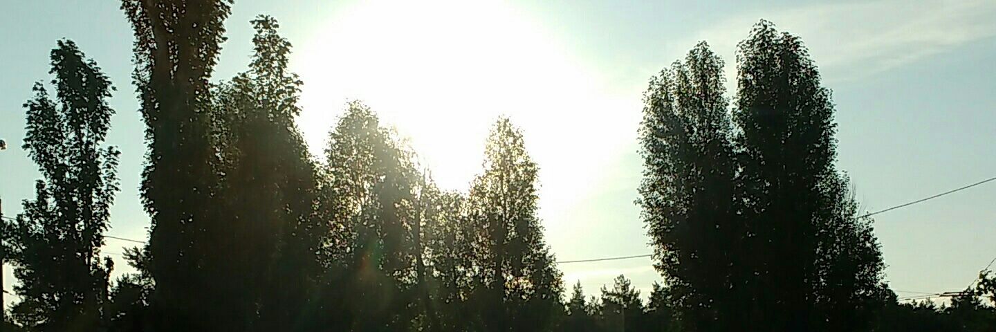 Завтразавр banner