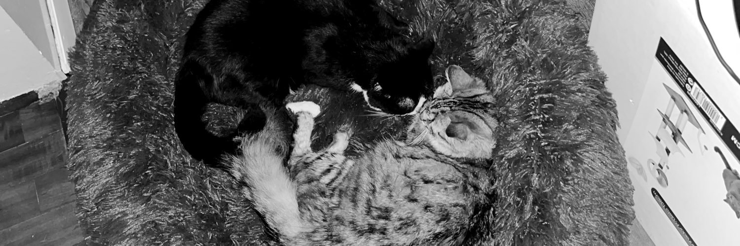 afonsoabreu99's profile banner image