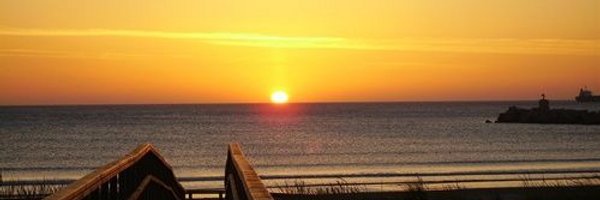 TrainerBertone Profile Banner