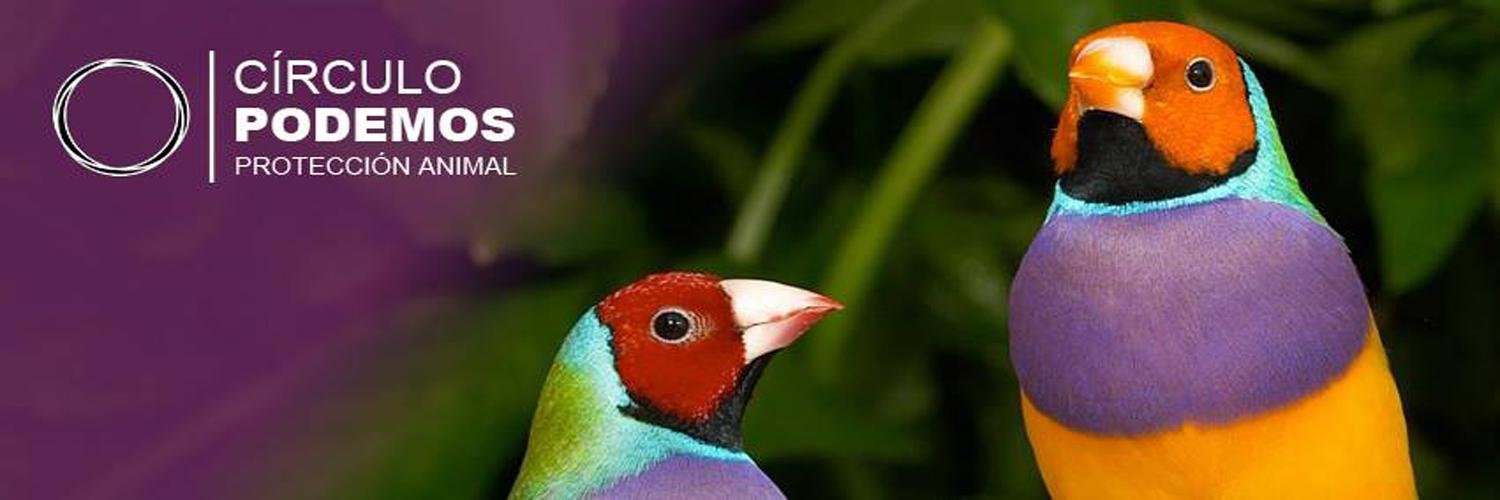 PodemosP_Animal's profile banner image