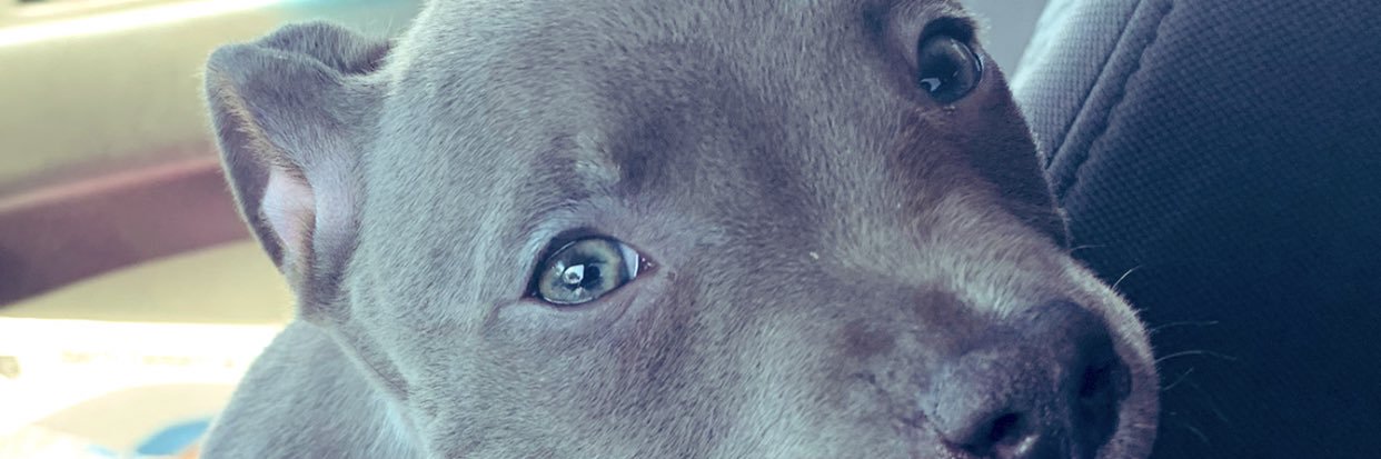 Domo50k's profile banner image
