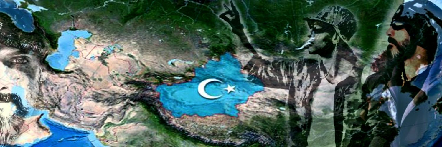Haray Yenilmez Profile Banner