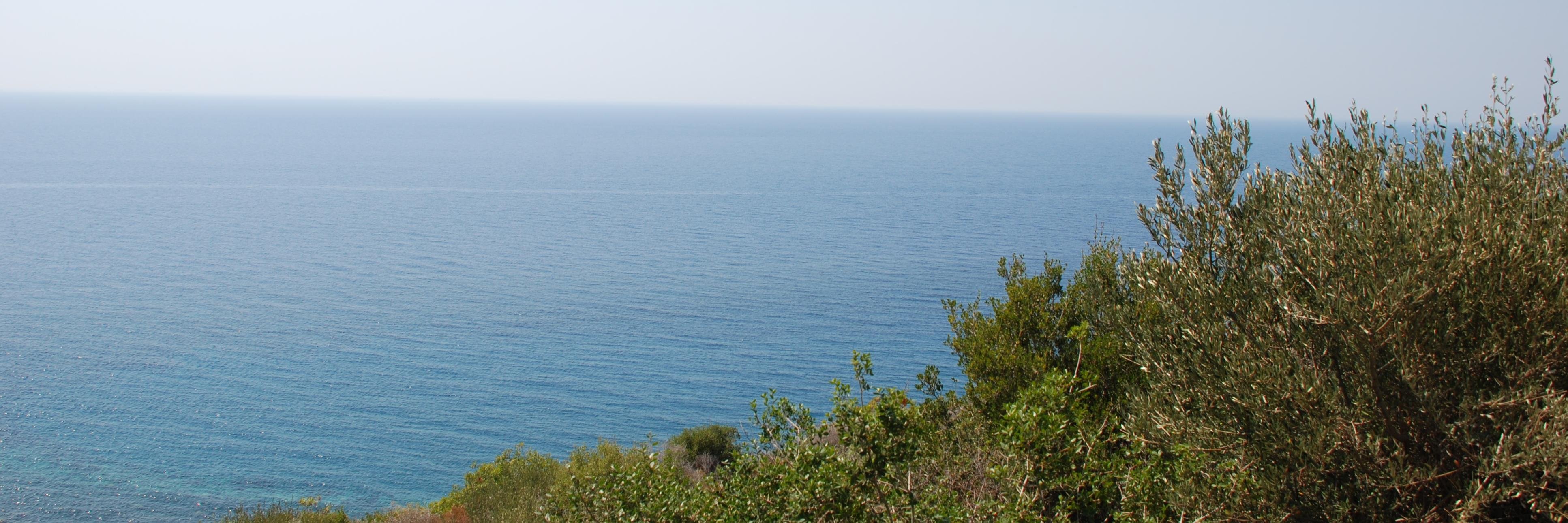 Loungehill's profile banner image