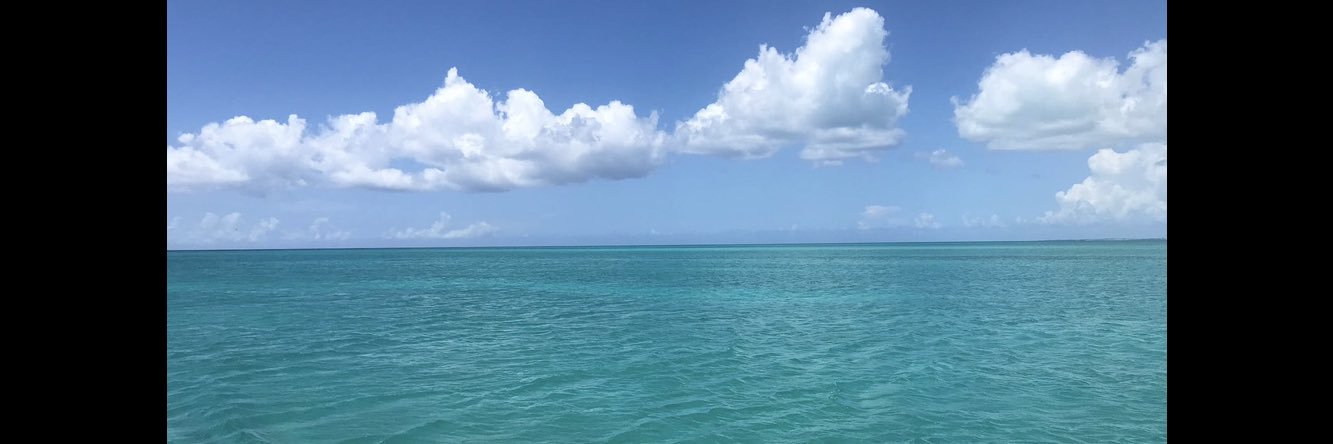 Luke Taffetsauffer banner