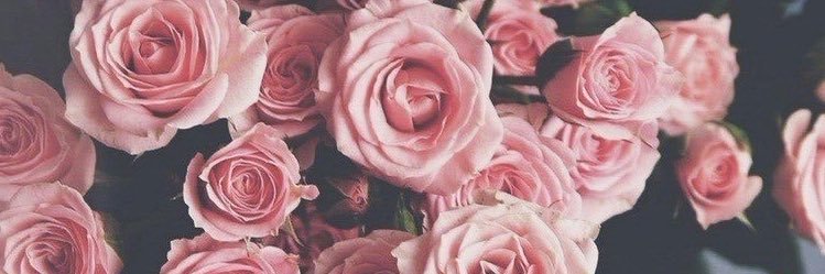 _beaeng's profile banner image