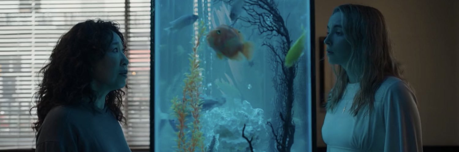 lealcmb's profile banner image