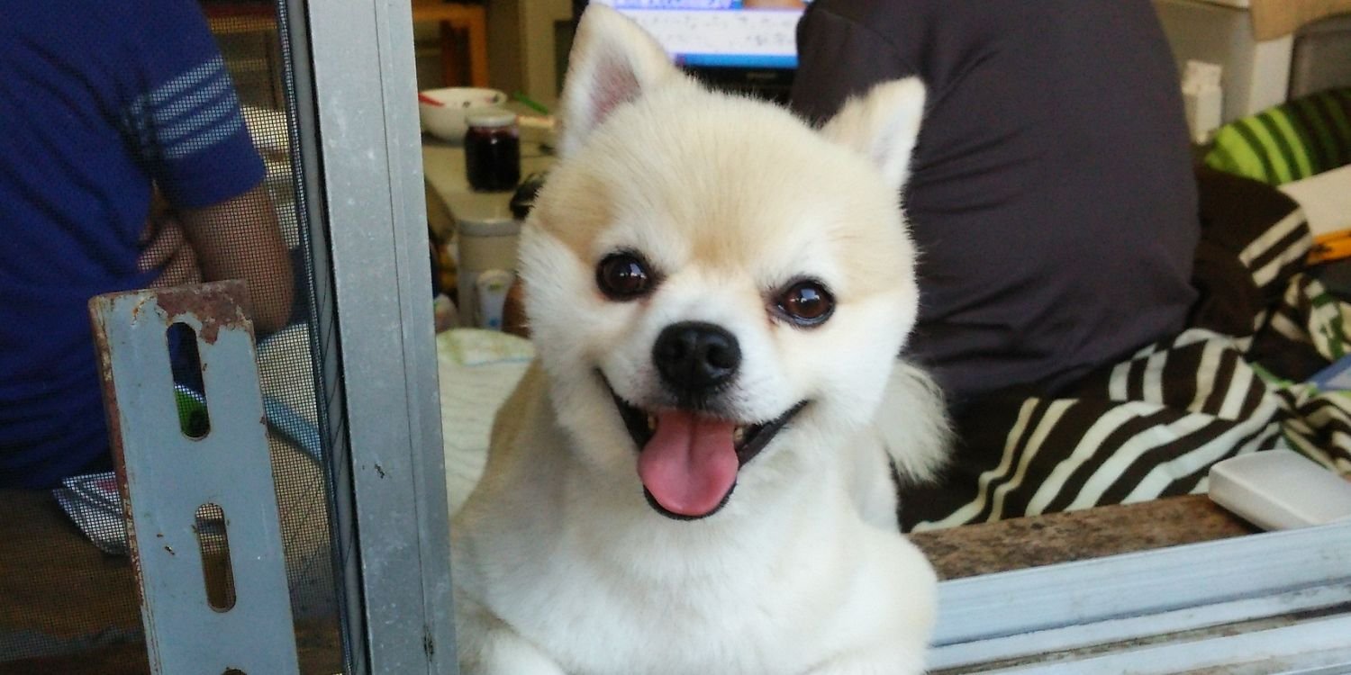 d92116ddc5814df's profile banner image